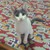:iconsonneka: