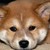 :iconsonnenschein98: