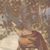 :iconsonofodin: