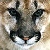 :iconsonstar58: