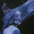 :iconsonya-sheets: