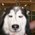 :iconsoocute13: