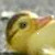 :iconsoontobesuperstar: