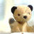 :iconsoosiep: