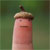 :iconsoothsayers: