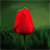 :iconsooz-lillend: