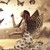 :iconsophie-etoile: