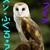 :iconsophie-uchiha: