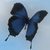 :iconsophieaspen: