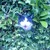 :iconsophiehasacat: