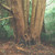 :iconsophiestock9: