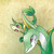:iconsopiecasterwill:
