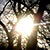 :iconsora-livana: