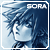 :iconsora-puchu: