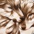 :iconsora-sigunda: