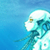 :iconsora507: