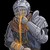 :iconsorawild:
