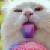 :iconsorbetcytrynowy: