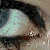 :iconsorgfull: