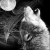 :iconsorrowedseraphim: