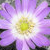 :iconsorykophotos: