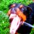 :iconSoSheThought: