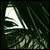 :iconsotandrain: