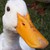 :iconsouci1: