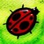 :iconsoukaynah: