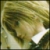 :iconsoul-angel: