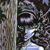 :iconsoul-child: