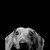 :iconsoul82storm: