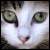 :iconsoulbones: