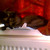 :iconsouleateriscool121: