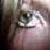 :iconsoulice-ariana: