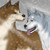 :iconsoulmonster: