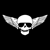 :iconsoulphonic1: