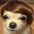 :iconsoulsdescend: