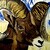 Soulshard :iconsoulshard: