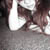 :iconsoulstealer8: