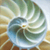 :iconsoulus: