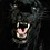 :iconsoulwithoutrestraint: