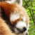 :iconsoulxposed:
