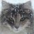 :iconsoundchaser595:
