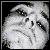 :iconsoundofdeath: