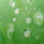 :iconsoundoffallingrain: