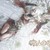 :iconsounga245: