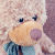:iconsouranalysis: