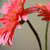 :iconsourequations: