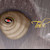 :iconsourtobi: